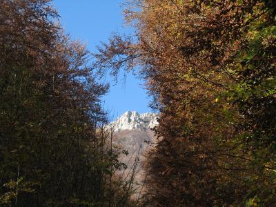 Прикрепленное изображение: IMG_0494-1.JPG